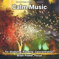 Calm Music for Studying, Reading, Concentration, Brain Power, Focus