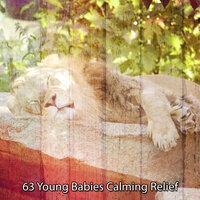 63 Young Babies Calming Relief