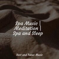 Spa Music | Meditation | Spa and Sleep