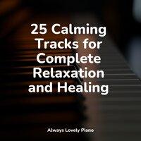 25 Calming Tracks for Complete Relaxation and Healing