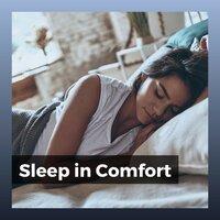 Sleep in Comfort