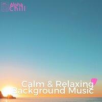 Calm & Relaxing Background Music