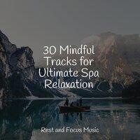 30 Mindful Tracks for Ultimate Spa Relaxation