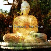 56 Embrace the Calm