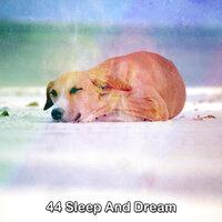 44 Sleep And Dream