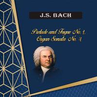 J.S.Bach, Prelude and Fugue No. 1, Organ Sonata No. 4
