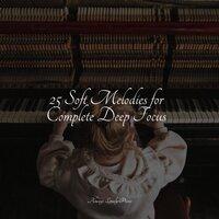 25 Soft Melodies for Complete Deep Focus