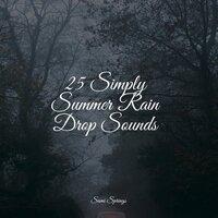 25 Simply Summer Rain Drop Sounds