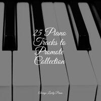 25 Piano Tracks to Promote Collection