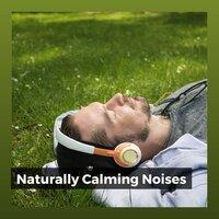 Naturally Calming Noises