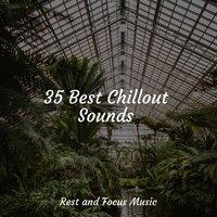 35 Best Chillout Sounds
