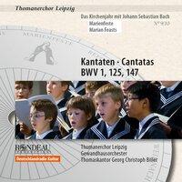 Johann Sebastian Bach: Cantatas / Kantaten BWV 1, BWV 125, BWV 147