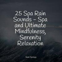 25 Spa Rain Sounds - Spa and Ultimate Mindfulness, Serenity Relaxation