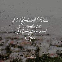 25 Ambient Rain Sounds for Meditation and Spa