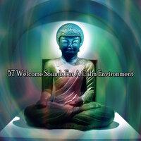 57 Welcome Sounds for a Calm Environment