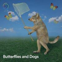 Butterflies and Dogs