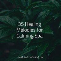 35 Healing Melodies for Calming Spa