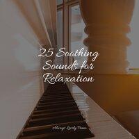 25 Soothing Sounds for Relaxation