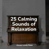 25 Calming Sounds of Relaxation