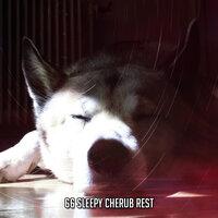 66 Sleepy Cherub Rest