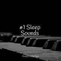 #1 Sleep Sounds