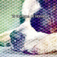 73 Serene At Home