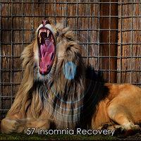 57 Insomnia Recovery