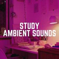 Study Ambient Sounds