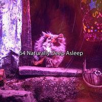 64 Naturally Deep Asleep