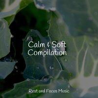 Calm & Soft Compilation