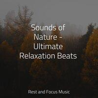 Sounds of Nature - Ultimate Relaxation Beats
