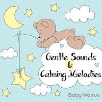Gentle Sounds & Calming Melodies