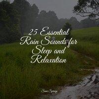 25 Essential Rain Sounds for Sleep and Relaxation