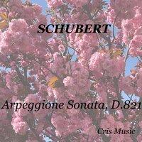 Schubert: Arpeggione Sonata, D.821