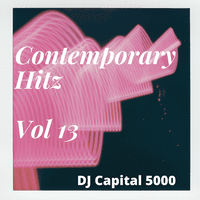 Contemporary Hitz Vol 13