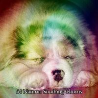 54 Natures Soothing Chorus