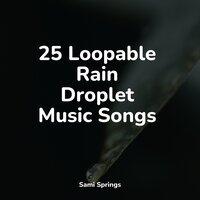 25 Loopable Rain Droplet Music Songs