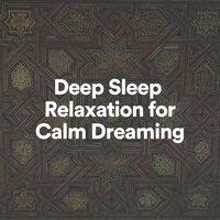 Deep Sleep Relaxation for Calm Dreaming
