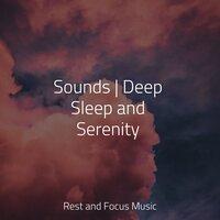 Sounds | Deep Sleep and Serenity