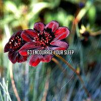 63 Encourage Your Sleep