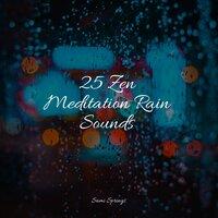 25 Zen Meditation Rain Sounds