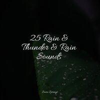 25 Rain & Thunder & Rain Sounds