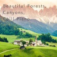 Beautiful Forests, Canyons, Chill Piano.