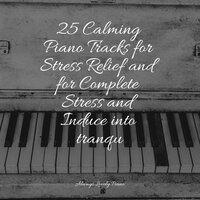 25 Calming Piano Tracks for Stress Relief and for Complete Stress and Induce into tranqu