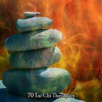 70 Tai Chi Therapies