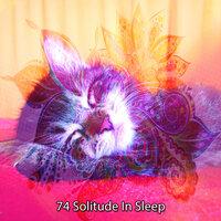 74 Solitude in Sleep