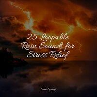 25 Loopable Rain Sounds for Stress Relief