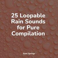 25 Loopable Rain Sounds for Pure Compilation