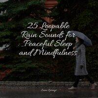 25 Loopable Rain Sounds for Peaceful Sleep and Mindfulness