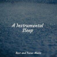 A Instrumental Sleep
